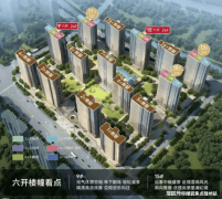 社区内部以“立”